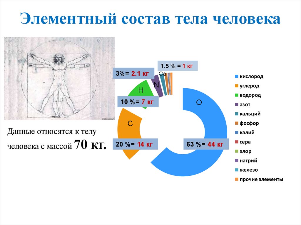 Химический состав организма