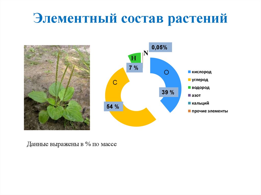 Входящие в состав растительные. Элементный состав растений. Элементарный состав растений. Элементарный химический состав растений. Элементный состав растений схема.