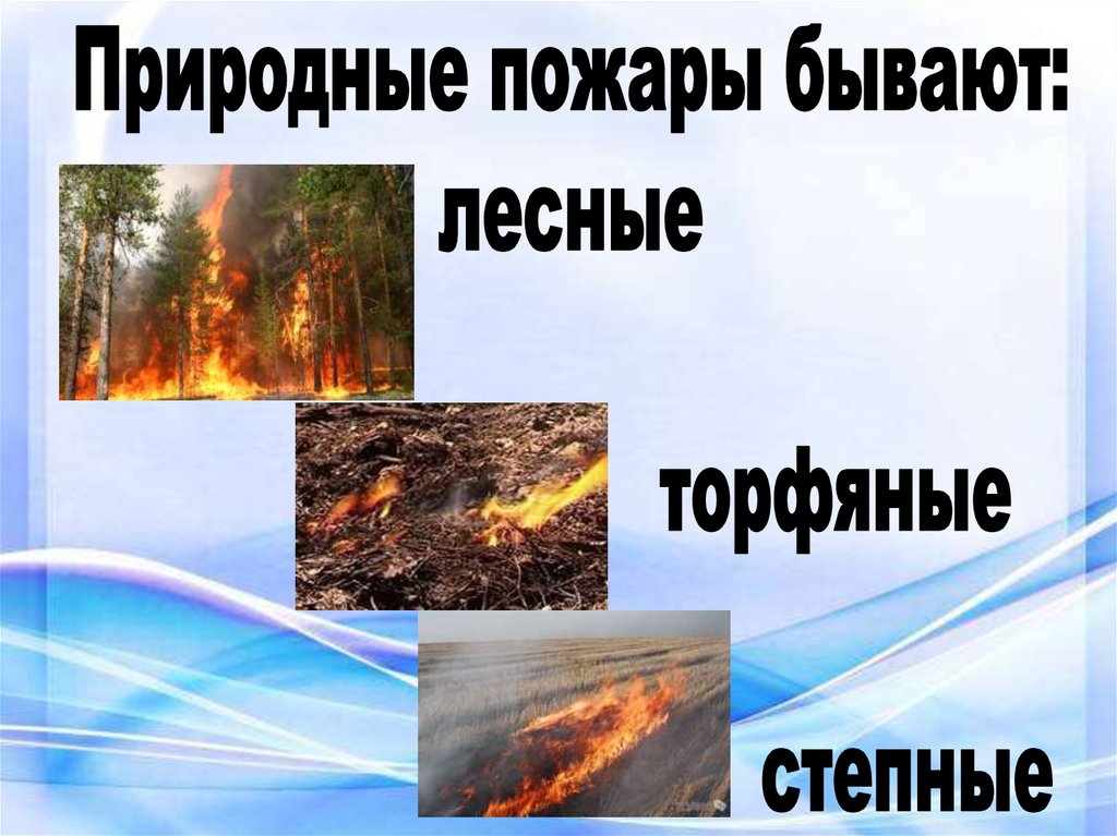 Лесные пожары презентация. Причины природных пожаров. Признаки природных пожаров.