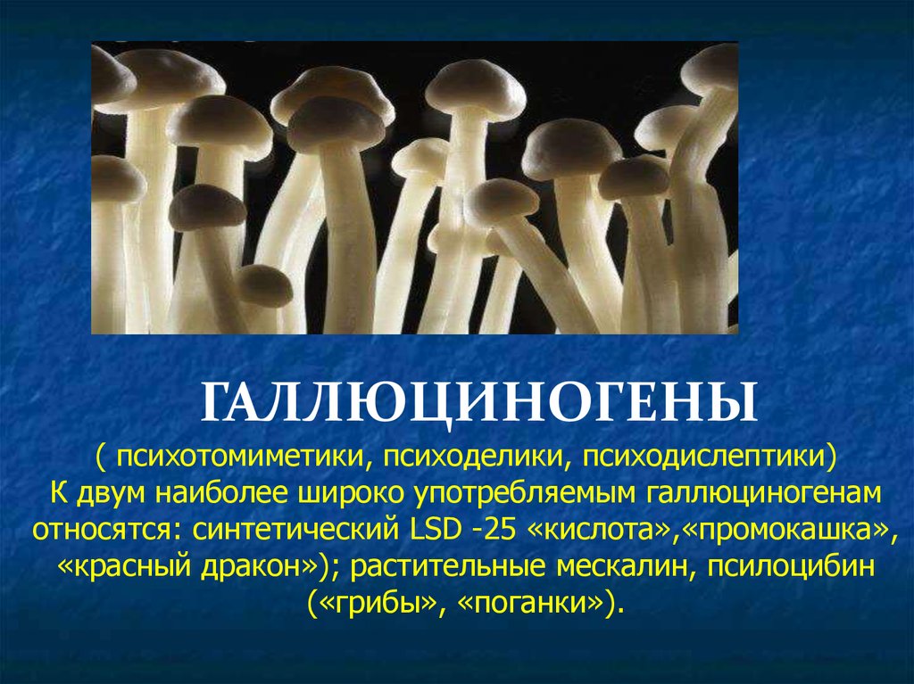 Несколько наиболее. Галлюциногены презентация. К галлюциногенами относятся. Галлюциногены влияние на организм. Синтетические галлюциногены.