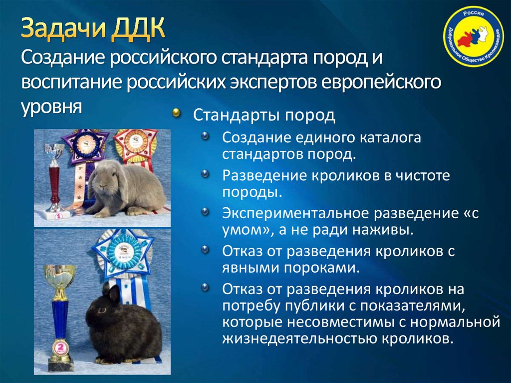 Задачи ДДК Создание российского стандарта пород и воспитание российских экспертов европейского уровня