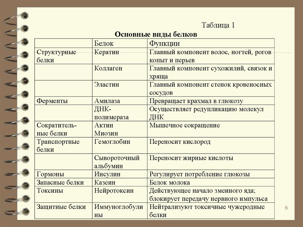 Белком код. Таблица Биосинтез белка биология 9 класс. Таблица по биологии 9 класс Биосинтез белка. Биология 9 класс Биосинтез белков таблица. Синтез белков таблица.