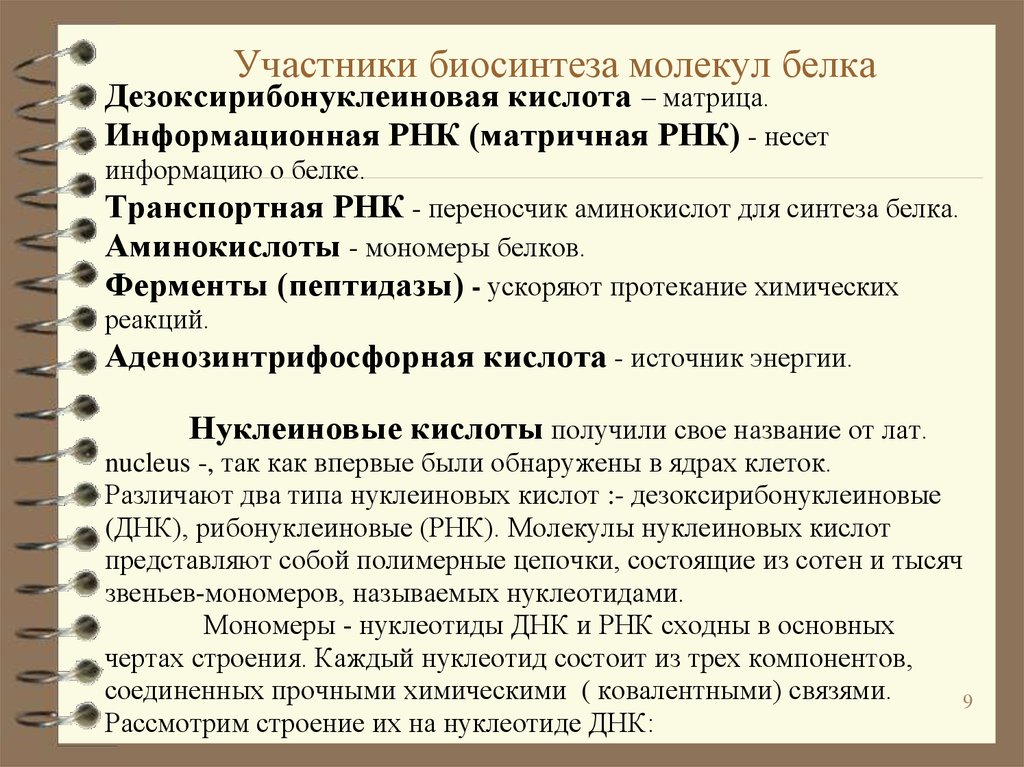 В биосинтезе участвуют. Участники синтеза белка. Участники процесса биосинтеза белка. Решение задач на Биосинтез. Биосинтез белков участники.