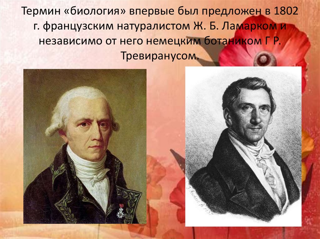 Биология термин вид