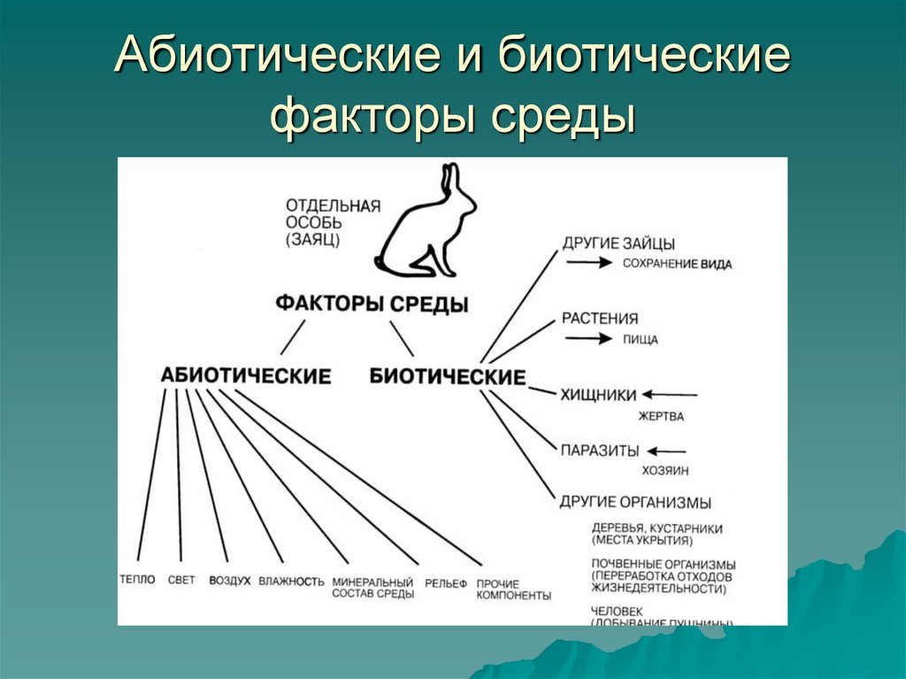 Почва как абиотический фактор презентация