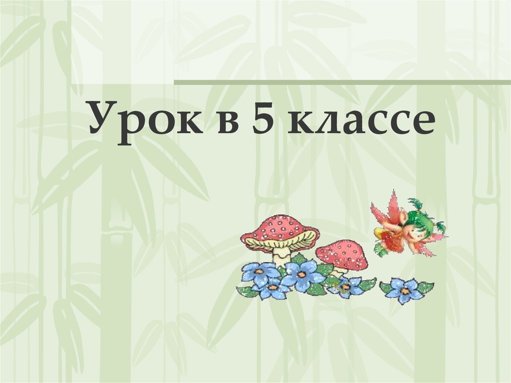 Разнообразие распространение значение растений 5 класс презентация