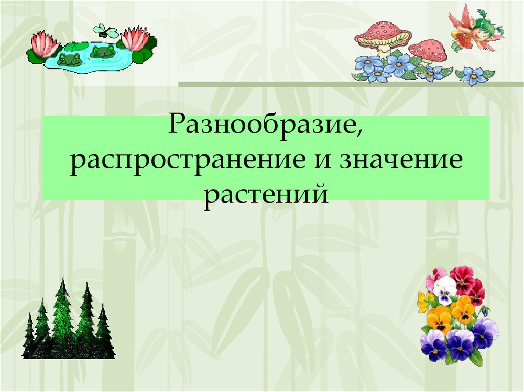 Разнообразие распространение значение растений 5 класс презентация