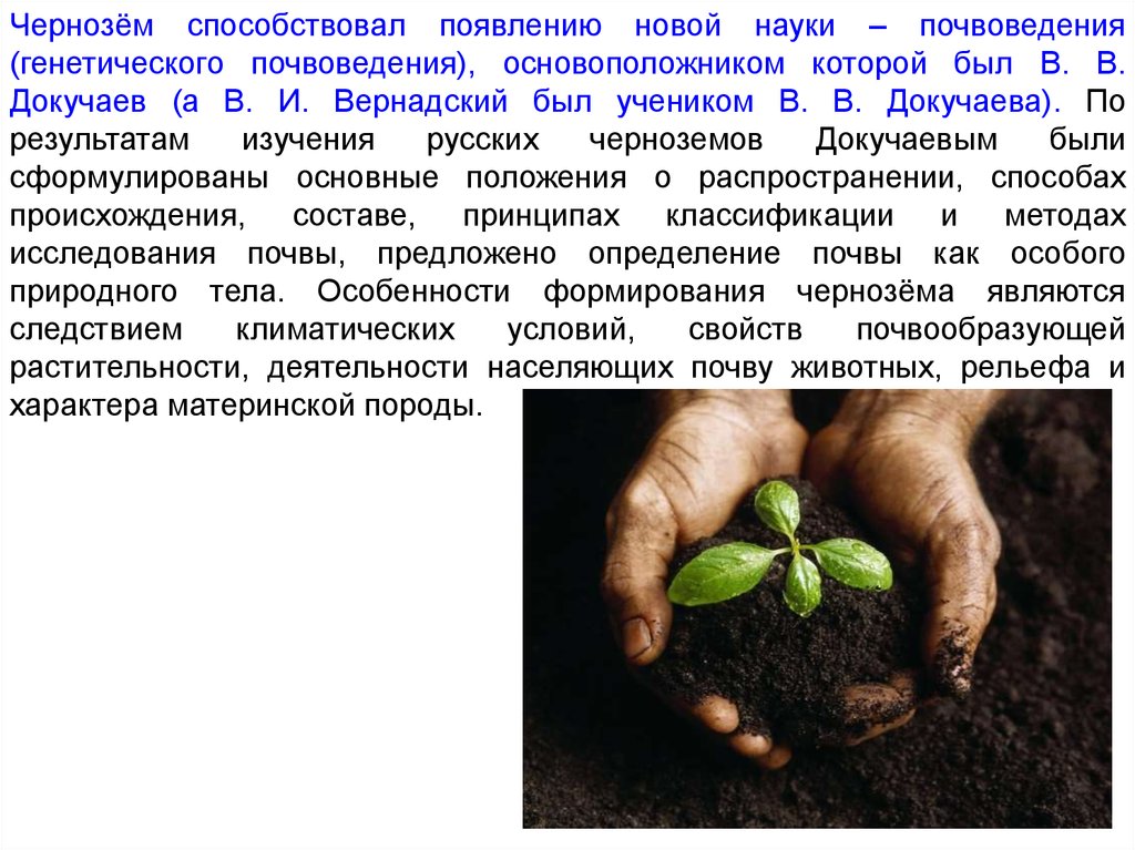 Экологическая роль почв. Роль растений в почве. Почва как экологический фактор. Роль почвы. Какова роль почвы в жизни растений 5 класс биология.