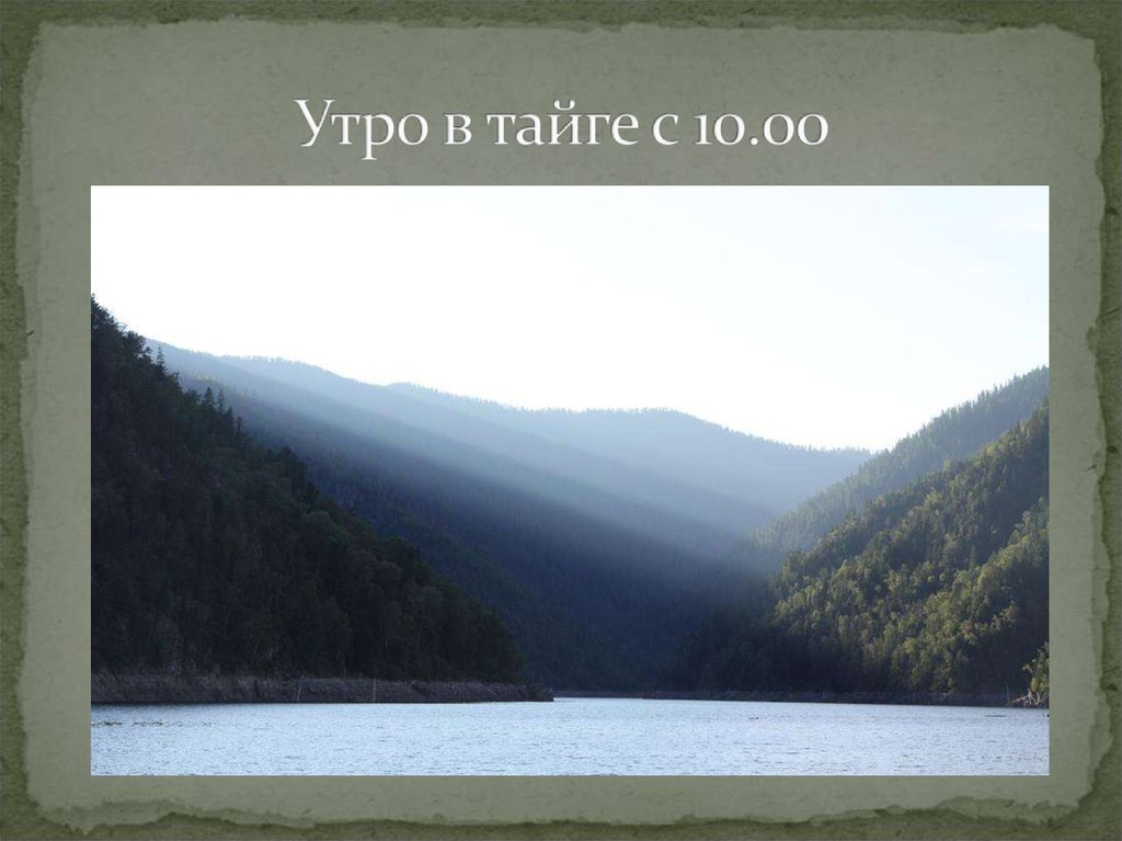 Утро в тайге с 10.00