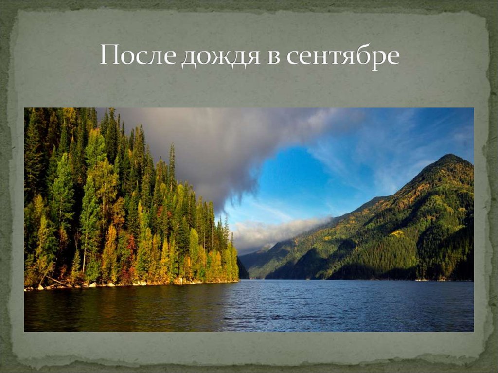 После дождя в сентябре