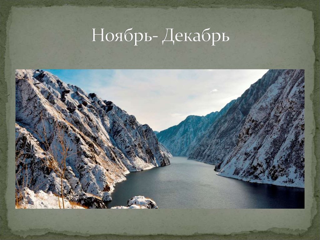 Ноябрь- Декабрь