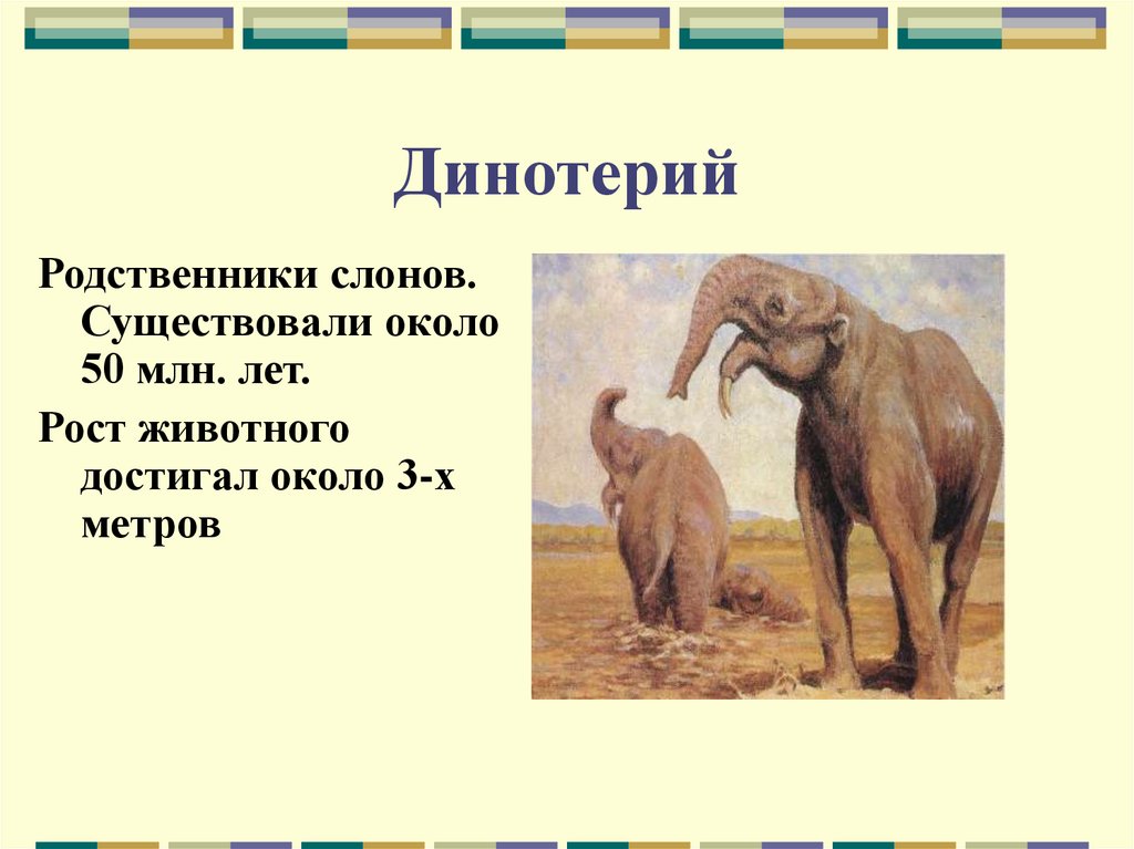 Родственники слоновых. Слон Динотерий. Родственники слонов. Вымершие родственники слонов. Родственник слона.