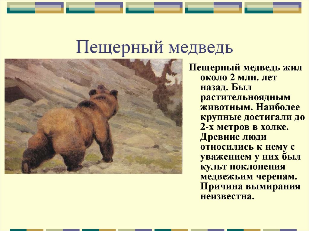 Медведь годы жизни. Пещерный медведь. Пещерный медведь вымершие животные. Пещерный медведь сообщение. Пещерный медведь причина вымирания.