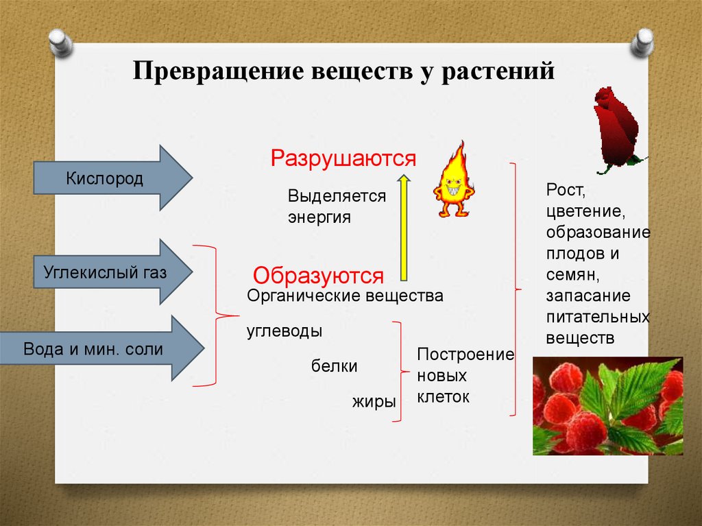 Построить вещество