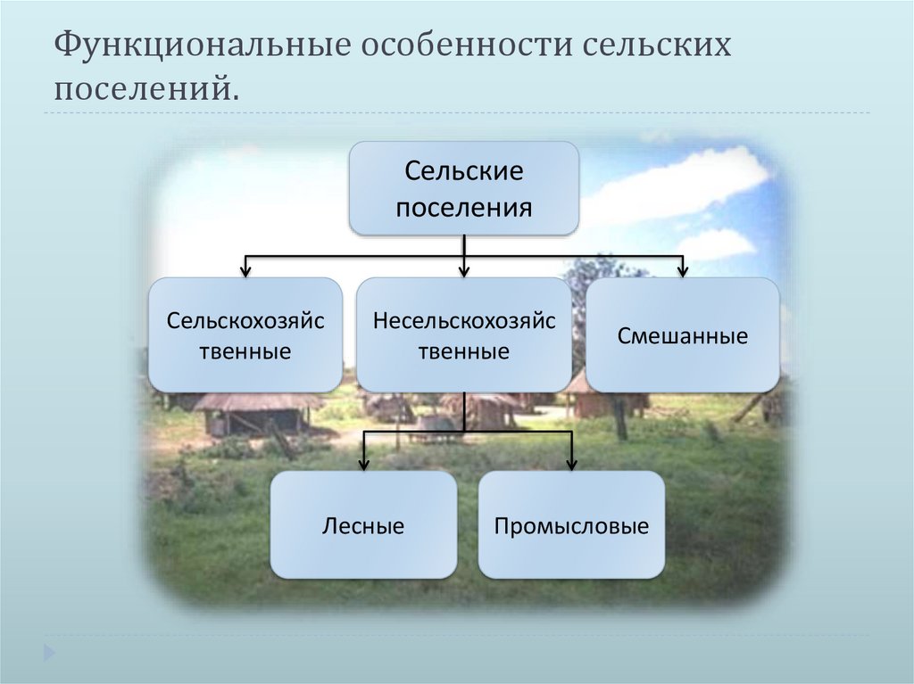 Функциональные особенности сельских поселений.