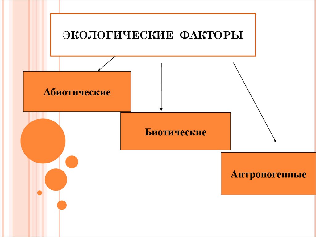 Экологические факторы картинки для презентации