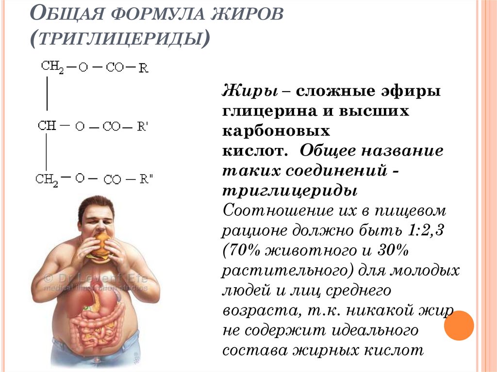 Общая формула жиров