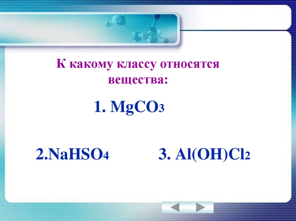 К какому классу относится человек