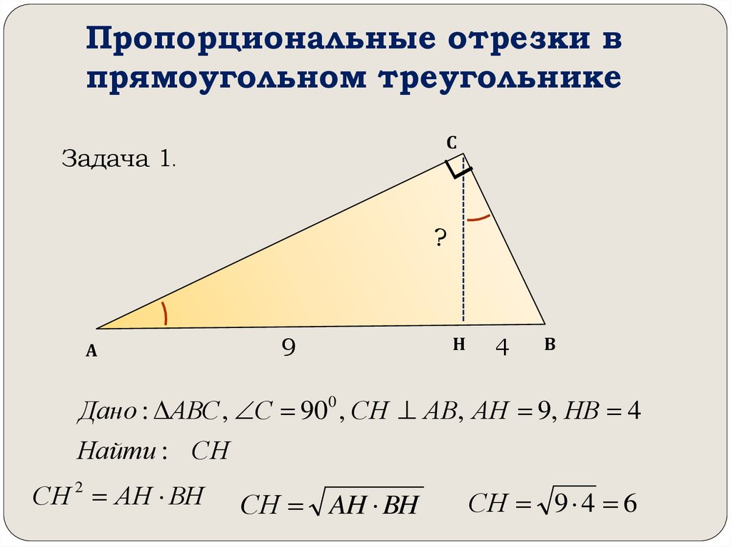 Пропорционально доле площади. Пропорциональные отрезки в прямоугольном треугольнике задачи. Пропорцтональныетотрезки в прямоугольном треугольнике. Пропорциональный отрезок в прямоугольном треугольнике. Средний пропорциональный отрезок в прямоугольном треугольнике.