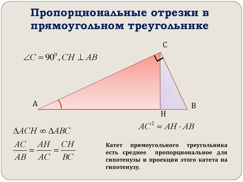 Пропорциональные отрезки в прямоугольном треугольнике презентация 8 класс