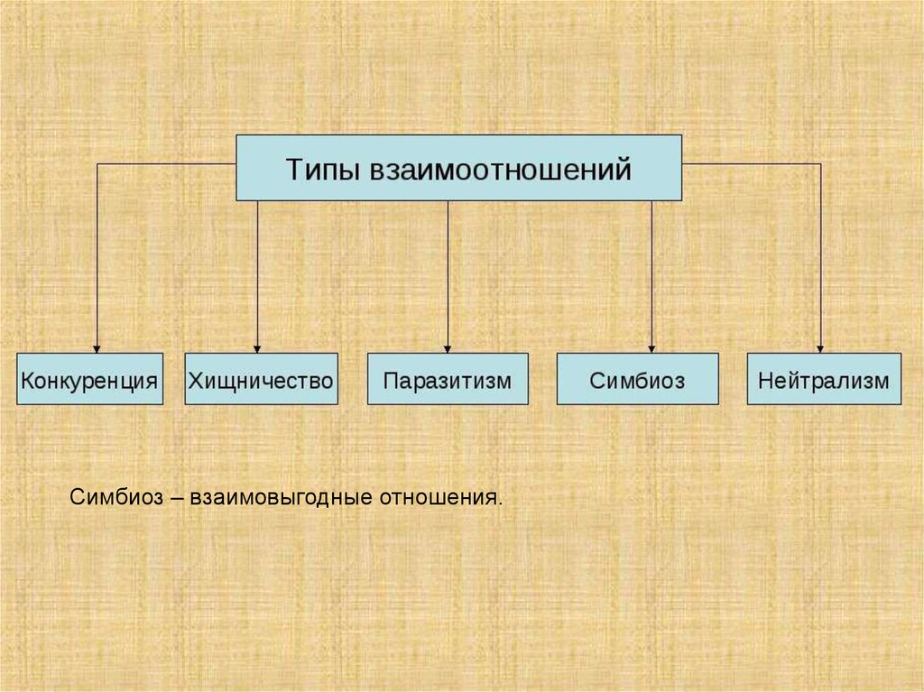 Схема биотических связей