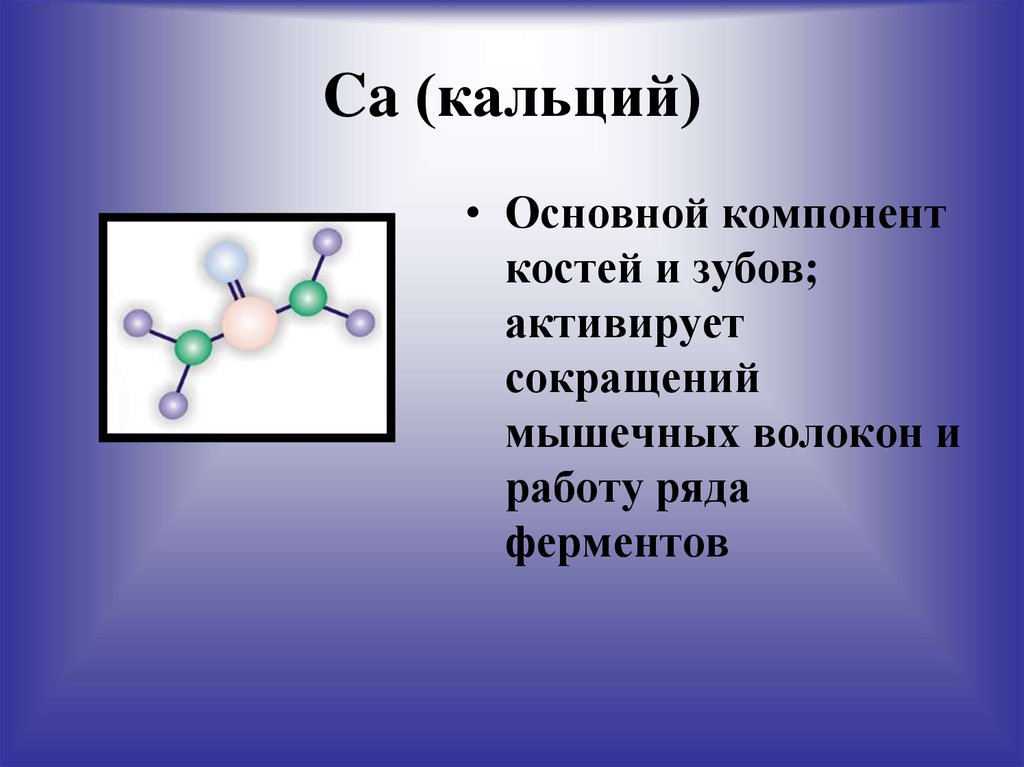 Основные компоненты кости