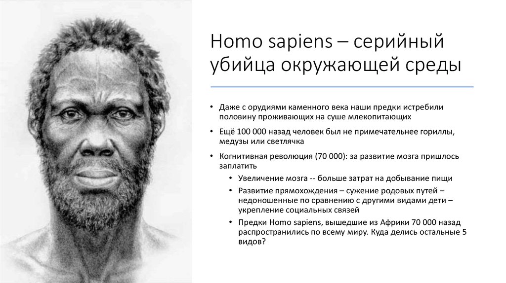 Программа homo sapiens. Когнитивная революция homo sapiens. Хомо сапиенс Deep-ex-sense. Нейрокогнитивная революция. Когнитивная революция в истории 70 тысяч лет назад.