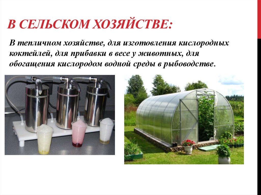 Как используются в хозяйстве. Кислород в сельском хозяйстве. Применение кислорода в сельском хозяйстве. Полимеры в сельском хозяйстве. Пластмасса в сельском хозяйстве.