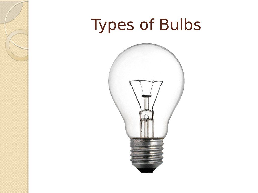 Types of Bulbs - презентация онлайн