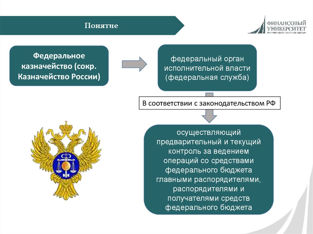 Органы казначейства россии