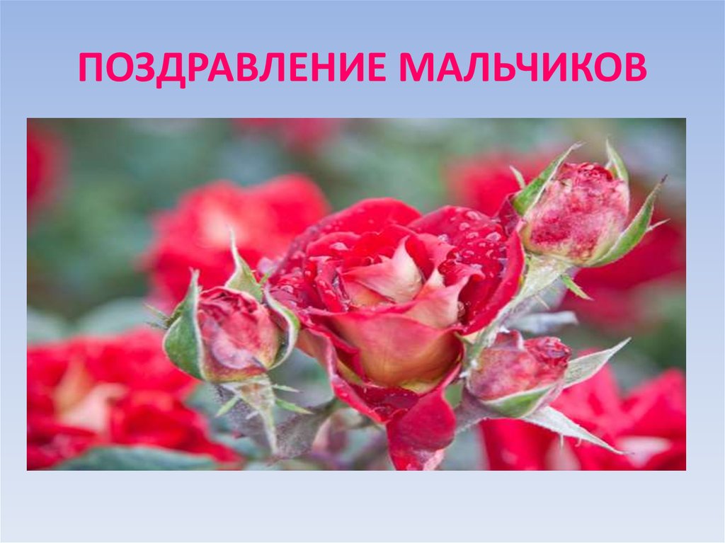 ПОЗДРАВЛЕНИЕ МАЛЬЧИКОВ