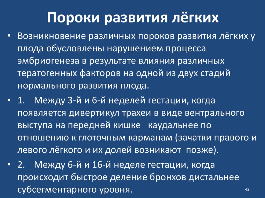 Возникновение легких