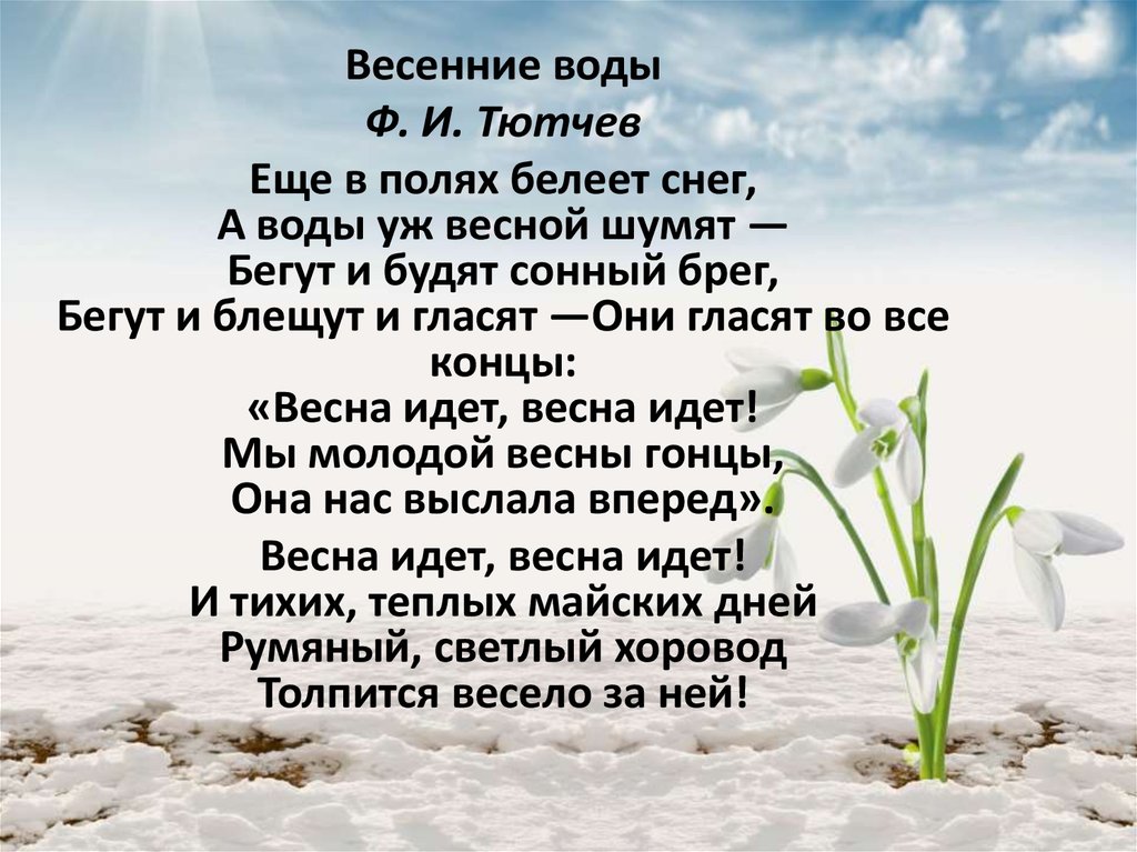 Еще в полях белеет снег а воды уж весной шумят схема предложения