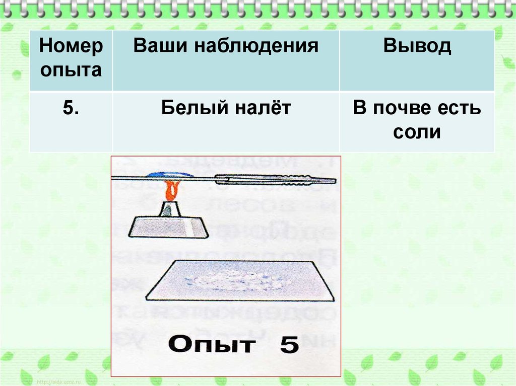 В почве есть. В почве есть соли. Состав почвы налет. Опыт с почвой с белым налетом. Номер опыта.