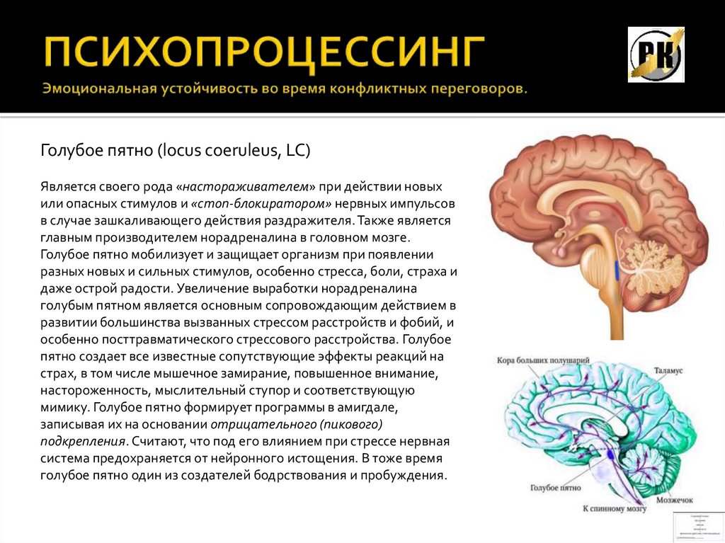 Эмоциональная устойчивость