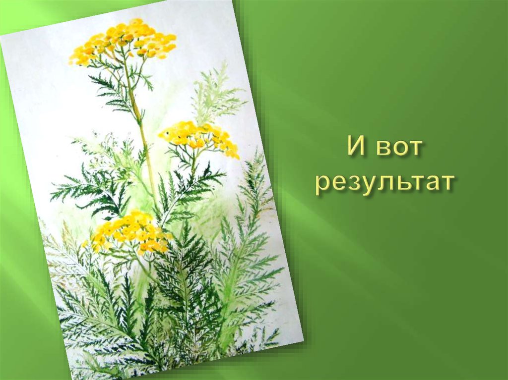 И вот результат