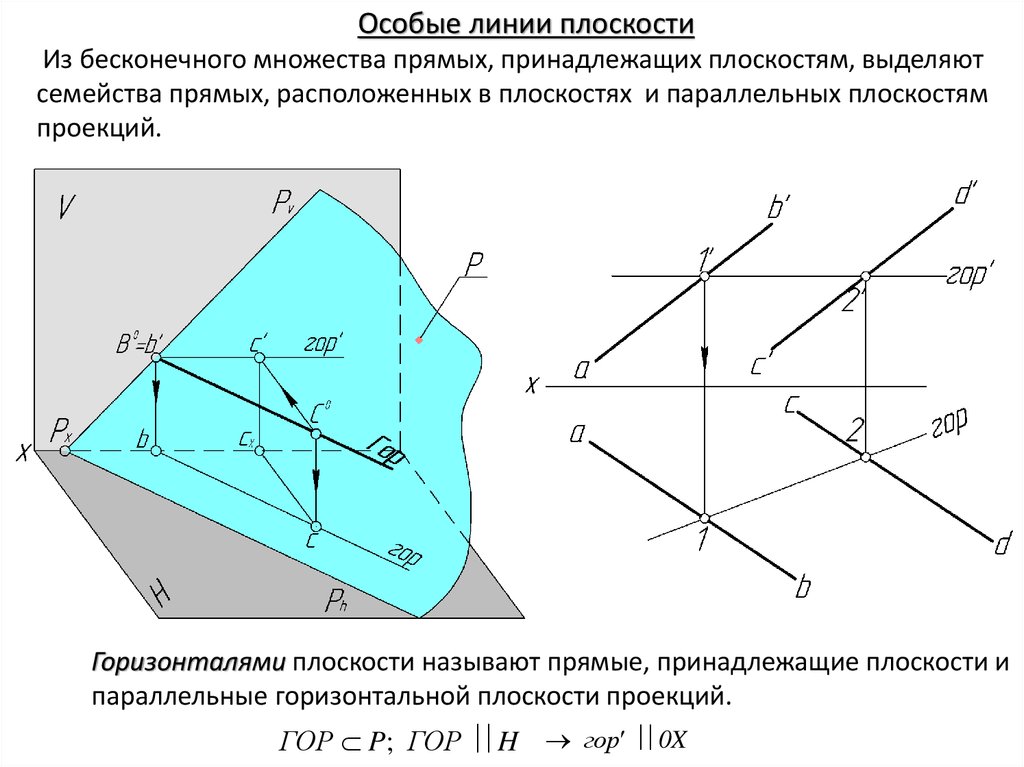 Особые линии