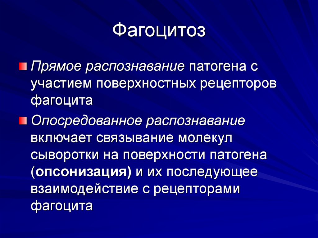 Что такое фагоцитоз. Фагоцитоз. Понятие фагоцитоз. Фагоцитоз классификация. Фагоцитоз определение кратко.