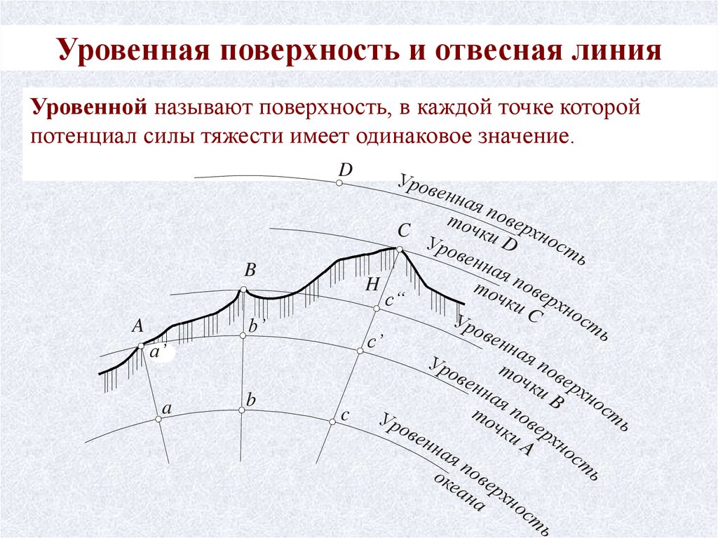 Метод изображения точек земной поверхности на плоскости посредством отвесных линий называется