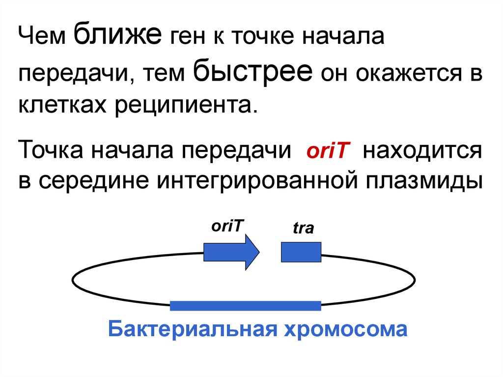 Генетика микроорганизмов презентация