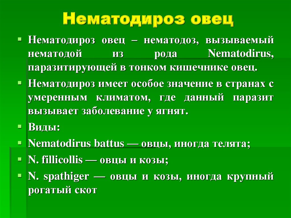 Диктиокаулез овец презентация