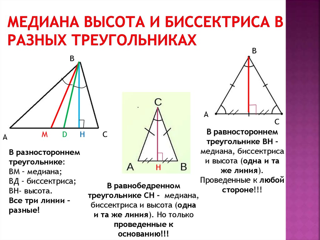 Высота треугольника совпадающая с биссектрисой. Медиана биссектриса и высота треугольника. Что такое Медиана биссектриса и высота треугольника 7 класс геометрия. Как выглядит Медиана биссектриса и высота треугольника. Таблица с медианами и биссектрисами треугольника.
