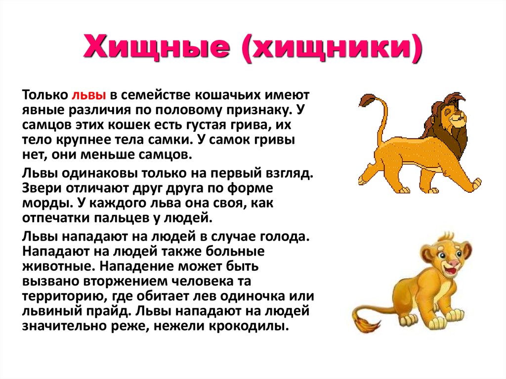 Лев какой род. Где обитают львы. Лев обитает. Лев в России где обитает. Лев из семейства кошачьих.