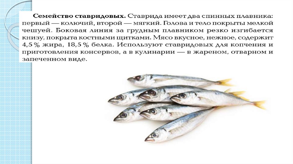 Промысловые рыбы 7 класс. Классификация промысловых рыб. Промысловые рыбы их использование и охрана. Основные семейства промысловых рыб. Промысловые рыбы презентация.