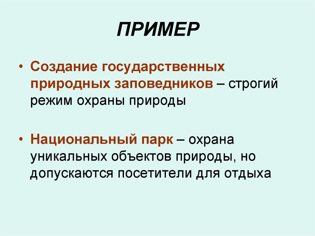 План по теме закон на страже природы