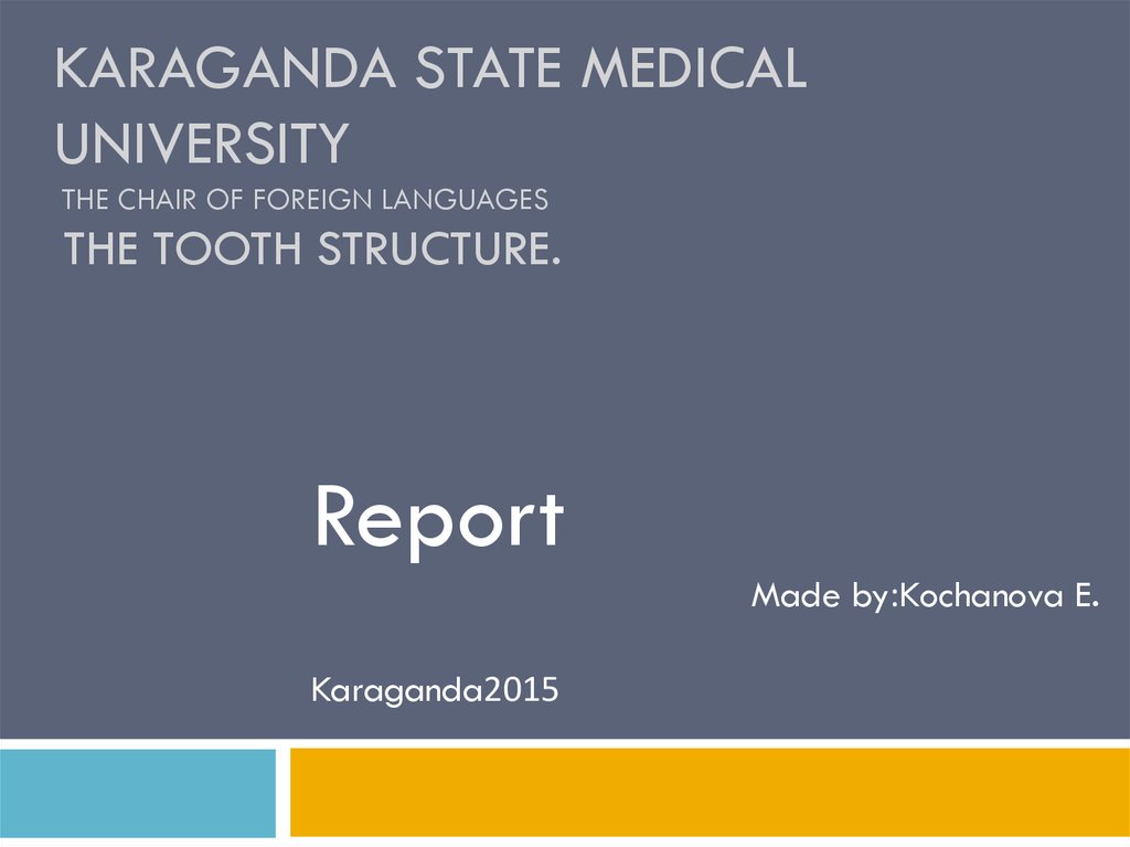 Karaganda State Medical University The chair of foreign languages  The Tooth structure.