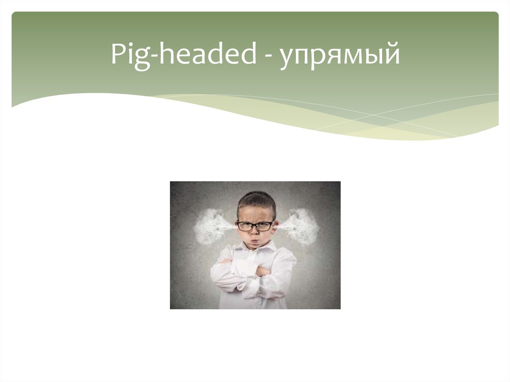 Pig-headed - упрямый