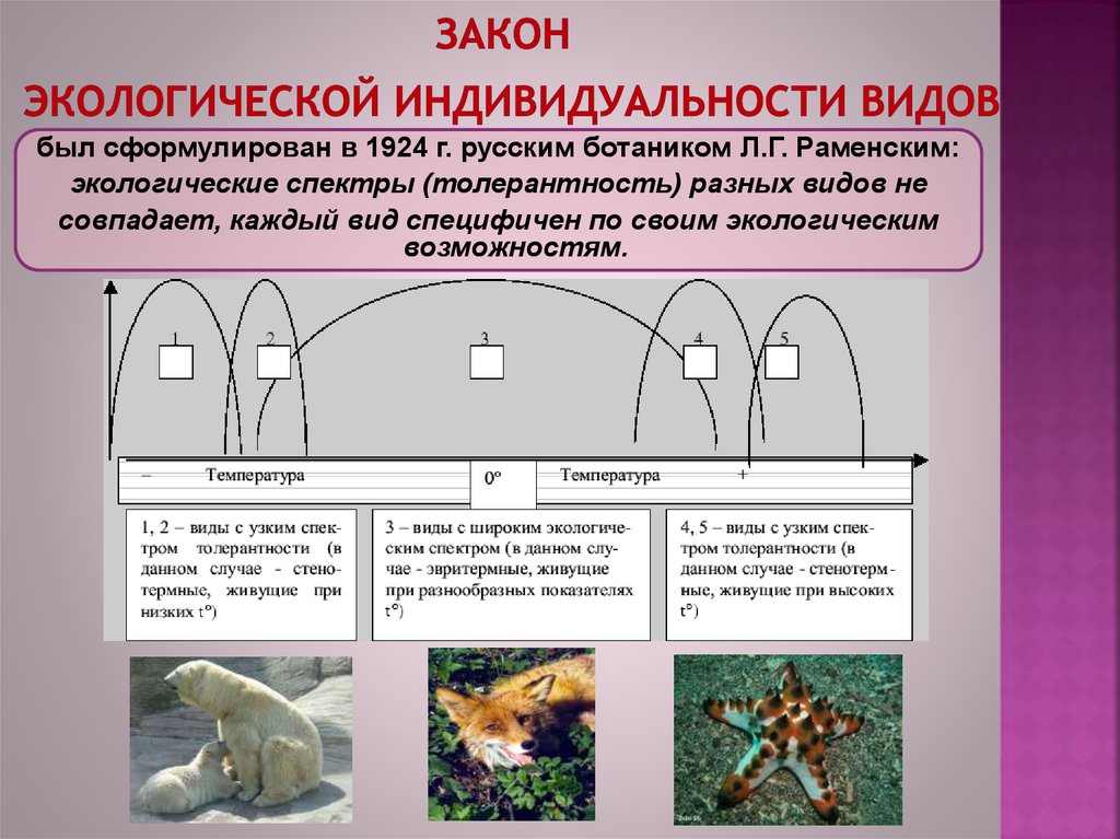 Закон оптимума презентация 9 класс