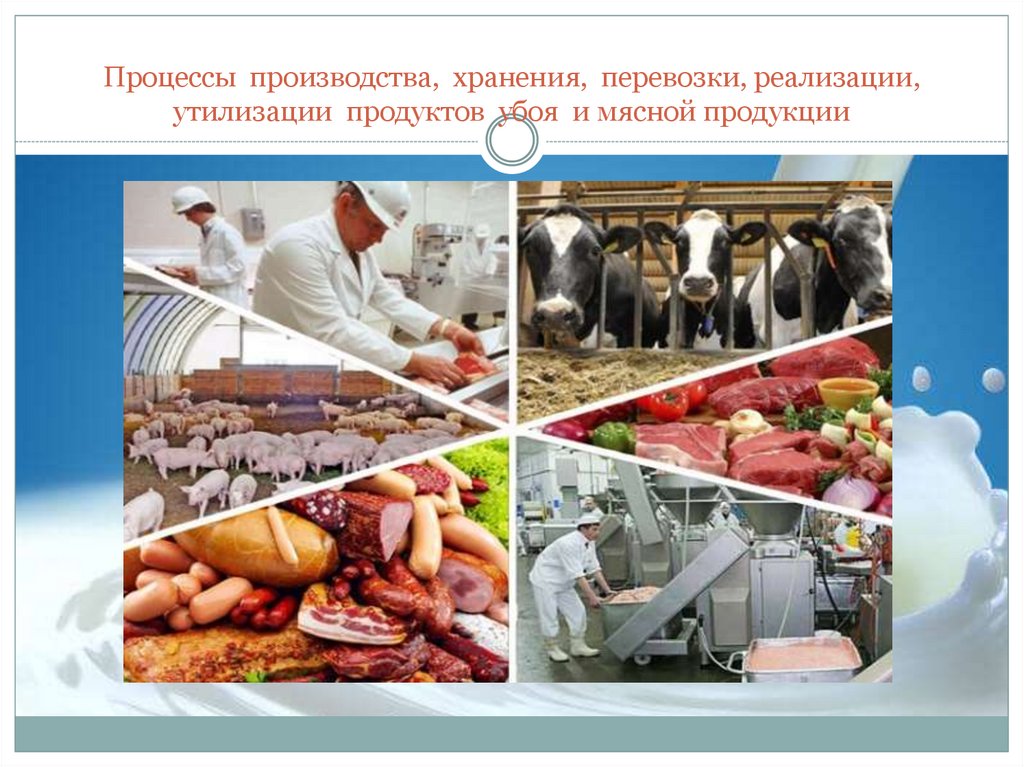 Основная сельскохозяйственная продукция. Реализация животноводческой продукции. Хранение, транспортировка и реализация продукции животноводства. Переработка и хранение продукции. Процесс изготовления продукции.