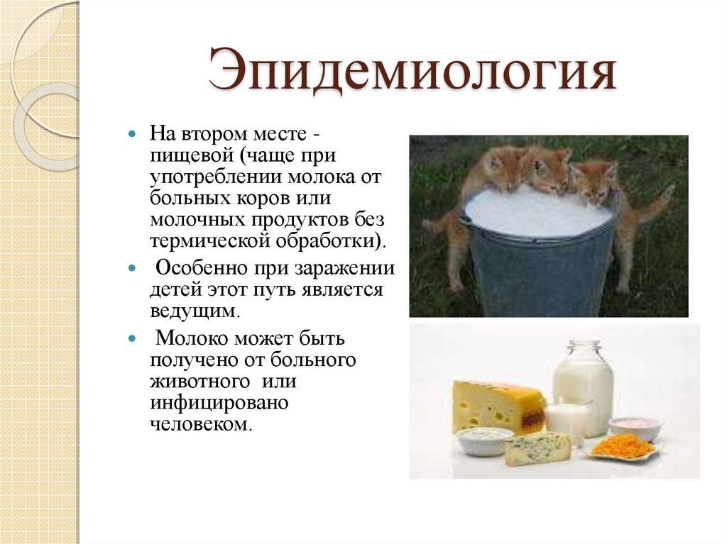 Можно ли пить больным молоко. Пищевые отравления молочными продуктами. Молока от больных животных. Отравление молочной продукцией.
